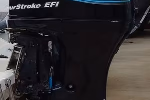 RICAMBI PER MERCURY 115 EFI  DEL 2002