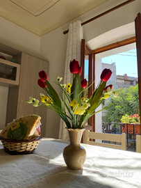 Casa "Zia Tota" - Brevi soggiorni estivi