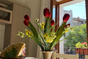 Casa "Zia Tota" - Brevi soggiorni estivi