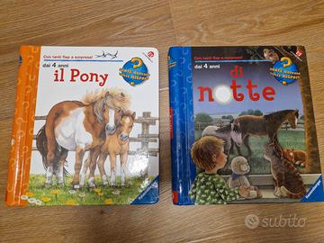 Libri Il Pony e Di Notte ed. La Cocinella