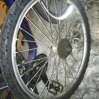 Ruota posteriore 26 7V shimano