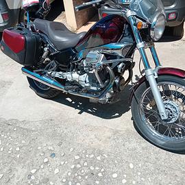 Nevada 750