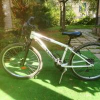 bicicletta da bambino/a