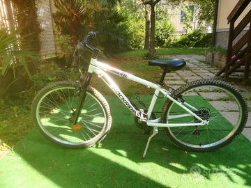 bicicletta da bambino/a