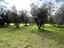 Immagine 30