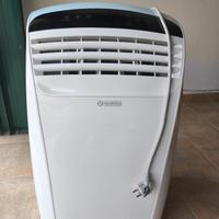 Pinguino aria condizionata 