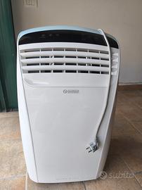 Pinguino aria condizionata 