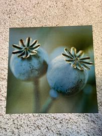 Quadro decorativo – fiori blu stampa su tela