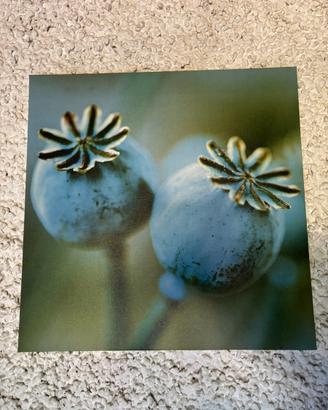 Quadro decorativo – fiori blu stampa su tela