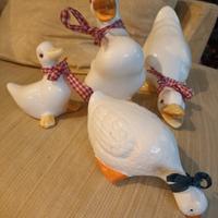 Papere di porcellana 