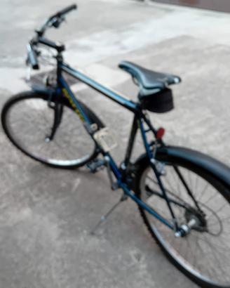 MB Bottecchia 883 R