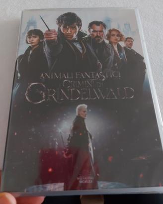 dvd animali fantastici i crimini di grindelwald