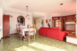 3 LOCALI A ALBA ADRIATICA