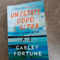 libro romantico "un'estate dopo l'altra"
