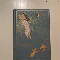 Libro Peter Pan di J.M.Barrie