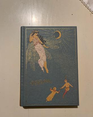 Libro Peter Pan di J.M.Barrie
