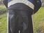 Immagine 4