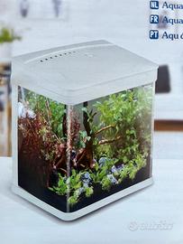 Acquario