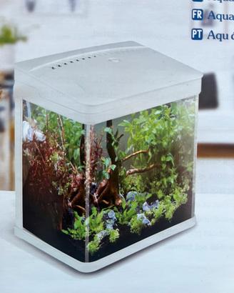 Acquario