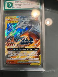 Carte pokemon