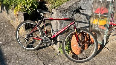 Bici adulto