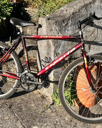 Bici adulto