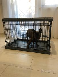 Kennel Ferplast Superior per cani di taglia media