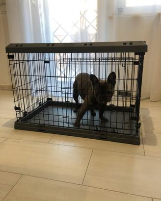 Kennel Ferplast Superior per cani di taglia media