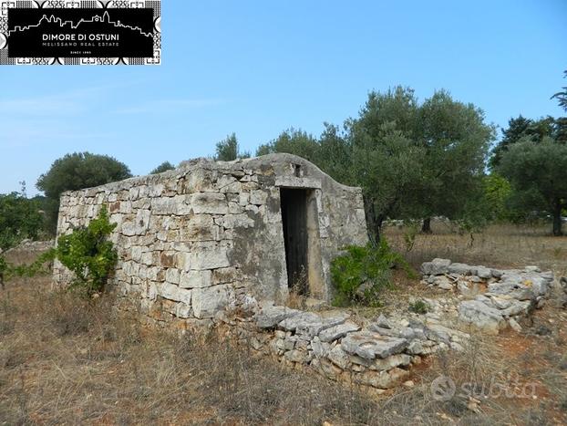 LAMIA in VALLE D'ITRIA CON TERRENO 4000mq