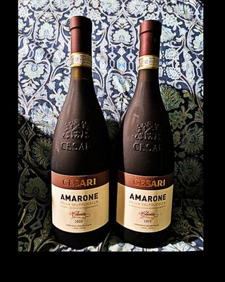 6 Bottiglie di Amarone della Valpolicella Cesari