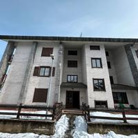 Privato vende serra pamparato