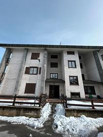 Privato vende serra pamparato