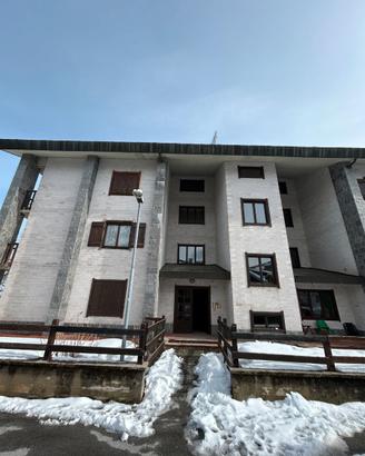 Privato vende serra pamparato