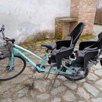 Bicicletta Panda bike cargo