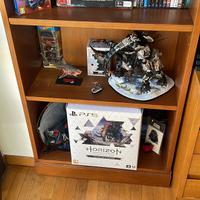 Horizon Forbidden West Collector’s Edition