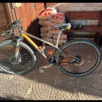 Mtb focus Raven