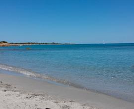 Sardegna - Appartamento - Cala Liberotto