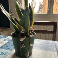 Collana fatta a mano in Macramé