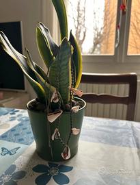 Collana fatta a mano in Macramé