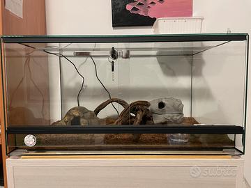 Terrario in vetro 60x40x30