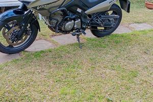 SUZUKI  DL650 VStrom