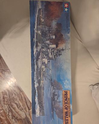 Modello "Prince of Wales" scala 1/350