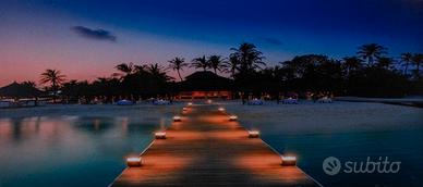 Foto d'arte Retro illuminata    (Rif 101,102)