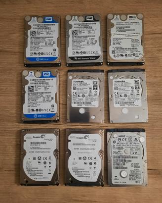 Hard disk interni 320 GB