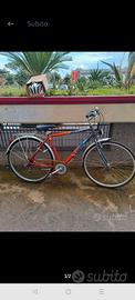 Bicicletta Schiano