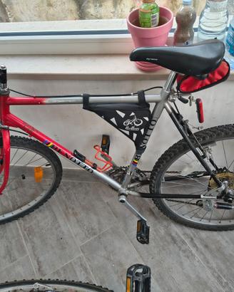 biciclette MTB Montana e Benotto