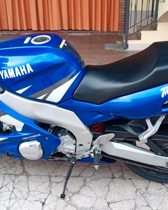 Yamaha thundercat yzf 600 r