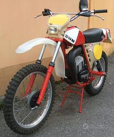 Swm RS 250 gs