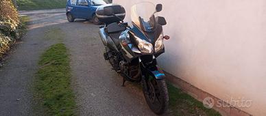 Suzuki DL 650 traveller