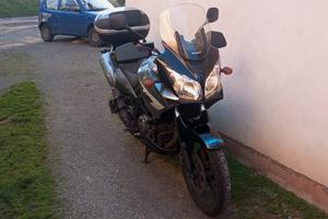 Suzuki DL 650 traveller